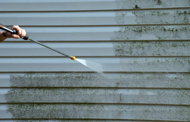 Reliable Pine Prairie, LA Pressure Washing Services Solutions